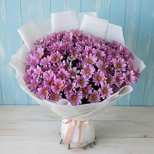 Букет цветов из:  Хризантемы в Гигирево