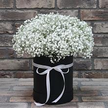 Цветочная композиция из Гипсофила в шляпной коробке в Гигирево